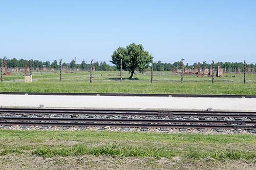 Photograph of Birkenau ruins, as seen from across the entering railraod tracks in May 2017.